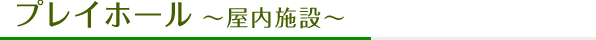 プレイホール